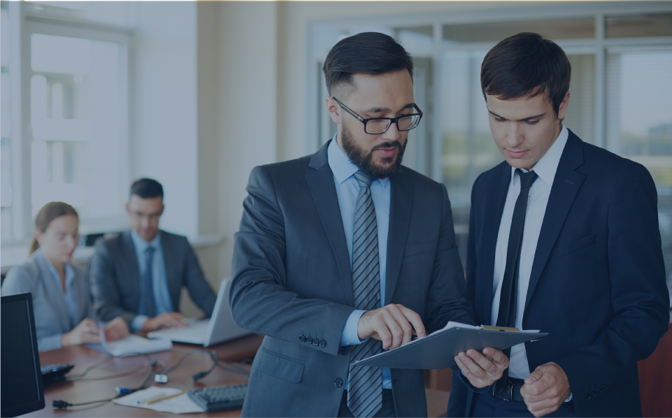 Consultorías especializadas: